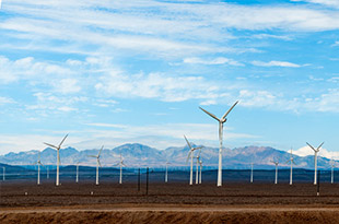 品種豐富，規(guī)格齊全